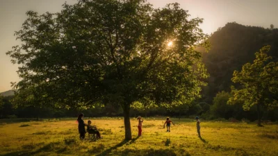  Aile ve Sosyal Hizmetler