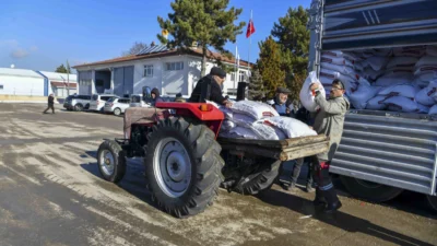  Ankara Büyükşehir Belediyesi, yüzde