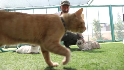  Kayseri’de ilk olan Kocasinan