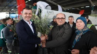 Üreticiye 84 bin sertifikalı zeytin fidanı Üreticiye 84 bin sertifikalı zeytin fidanı