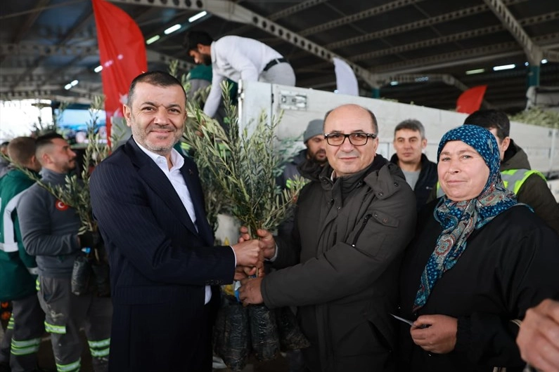 Üreticiye 84 bin sertifikalı zeytin fidanı Denizli Büyükşehir Belediyesi tarafından