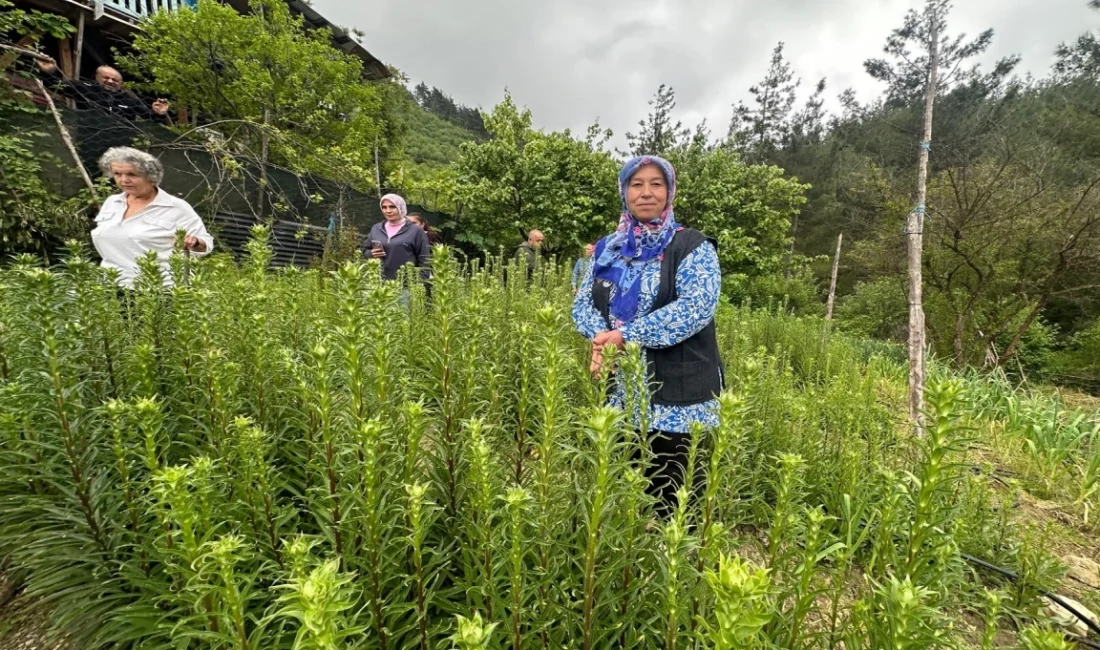  Adana Büyükşehir Belediyesi'nin