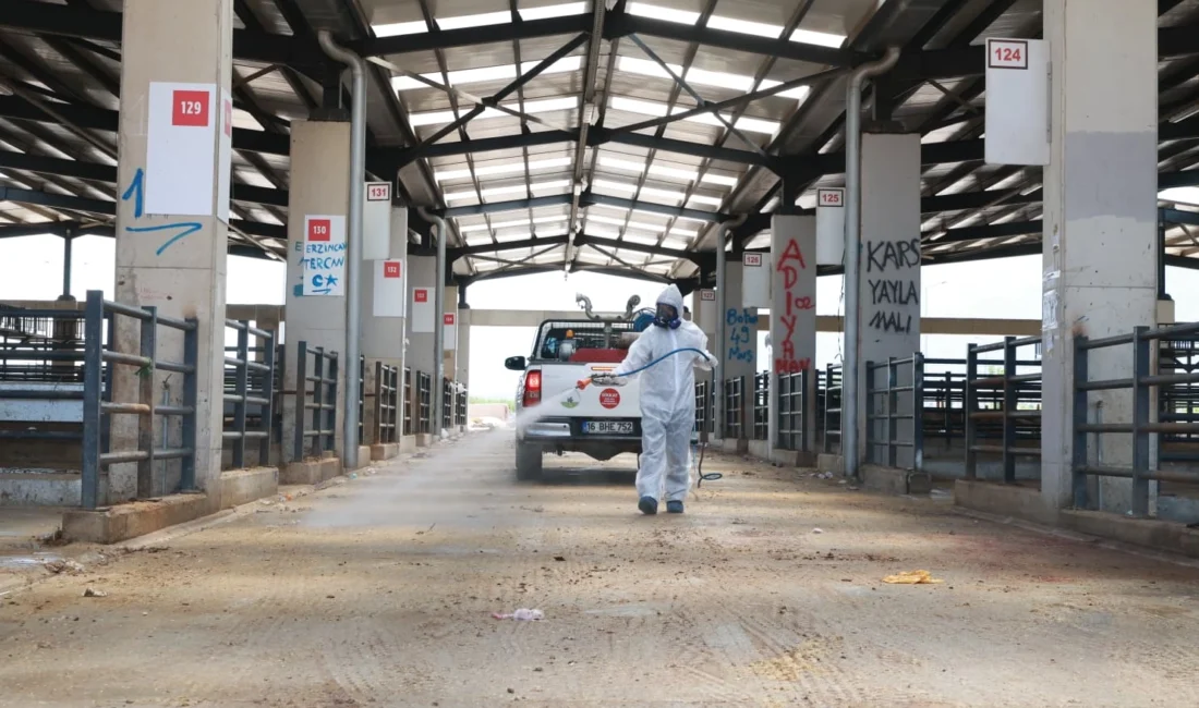 Osmangazi’de kurban pazarları ilaçlanarak dezenfekte edildi Bursa’da vatandaşların kurbanlık