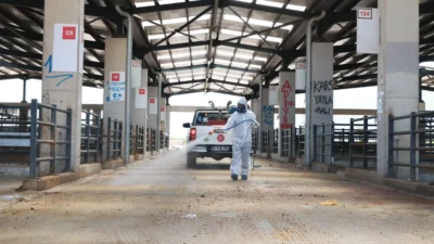  Bursa’da vatandaşların kurbanlık alışverişlerini