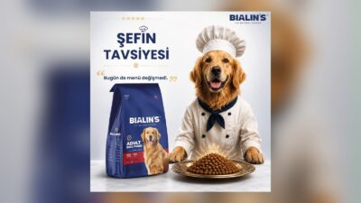 Yaş ve kuru mama seçenekleri,