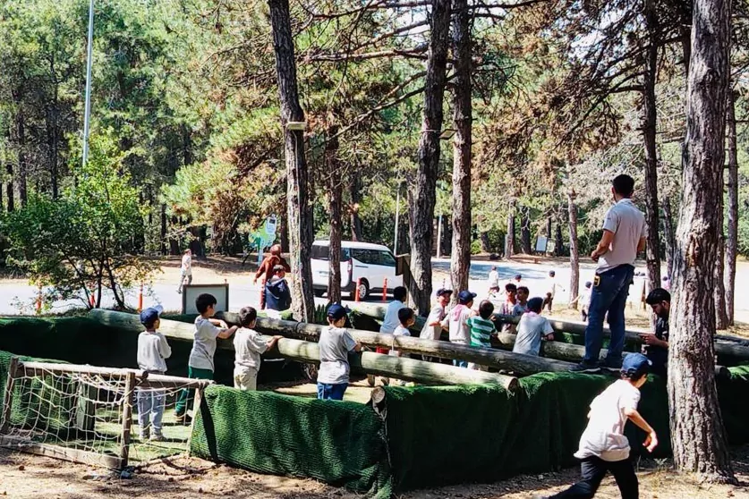 Devlet korumasında 2.240 çocuk yararlandı Aile ve Sosyal