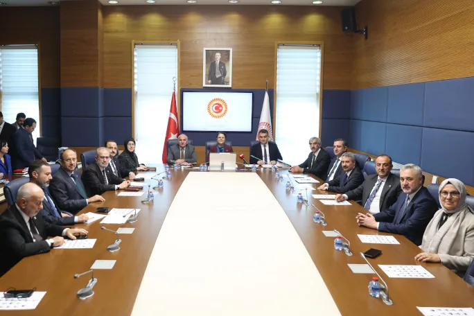  TBMM İnsan Haklarını İnceleme
